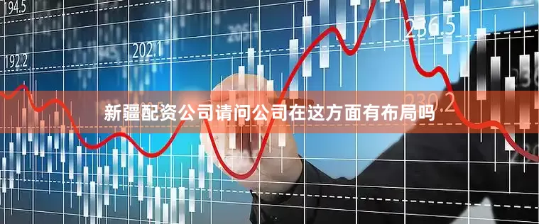新疆配资公司请问公司在这方面有布局吗