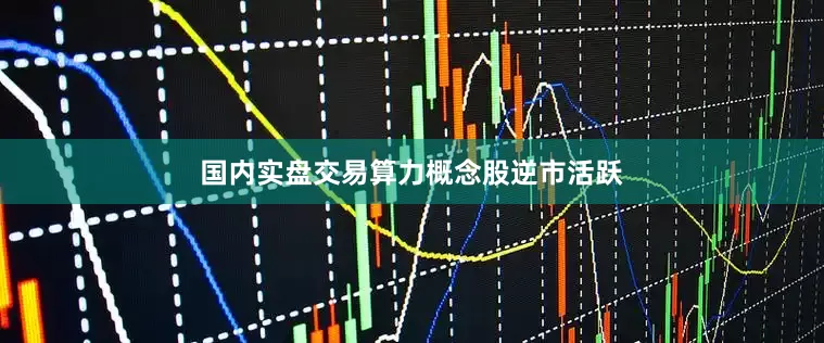 国内实盘交易　　算力概念股逆市活跃