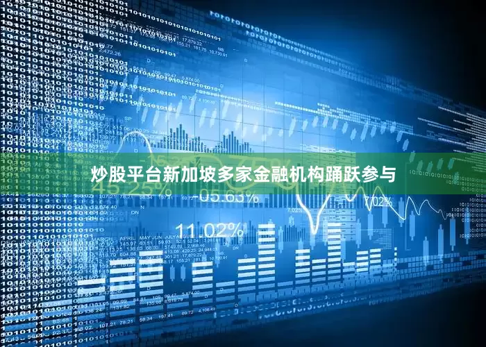 炒股平台新加坡多家金融机构踊跃参与