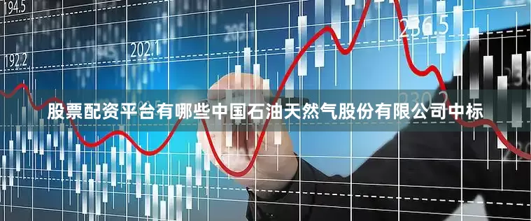 股票配资平台有哪些中国石油天然气股份有限公司中标